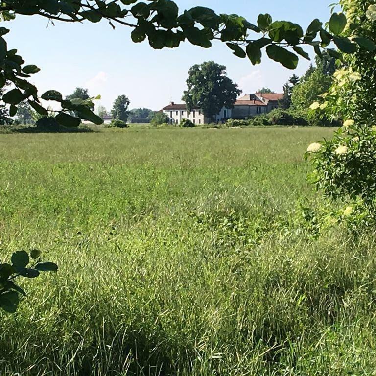Carrobbio Bed&Breakfast Vendégház Cremona Kültér fotó
